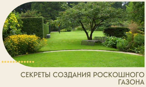 Секреты создания роскошного газона в Великом Устюге